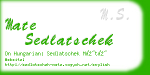 mate sedlatschek business card